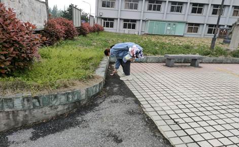 BCF8C93F5B54EBA60DF43B277657E47B