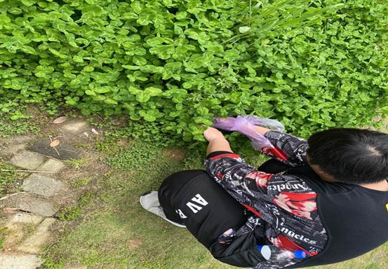 96DE657D8BE08CF8BE9FDB1475FBBDB6