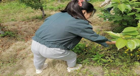 004419D6D6D81736AF5CA0D9335B95C4